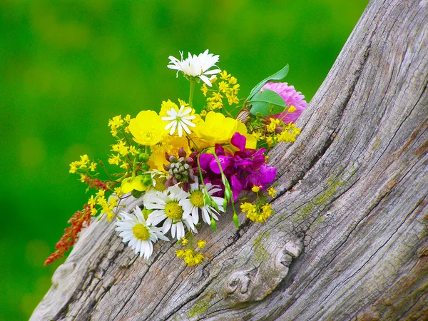 Bright colorful bouquet of garden and wild natural flowers — Stock Photo, Image