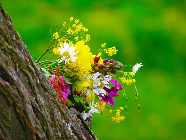 Helder kleurrijk boeket van tuin en wilde natuurlijke bloemen — Stockfoto