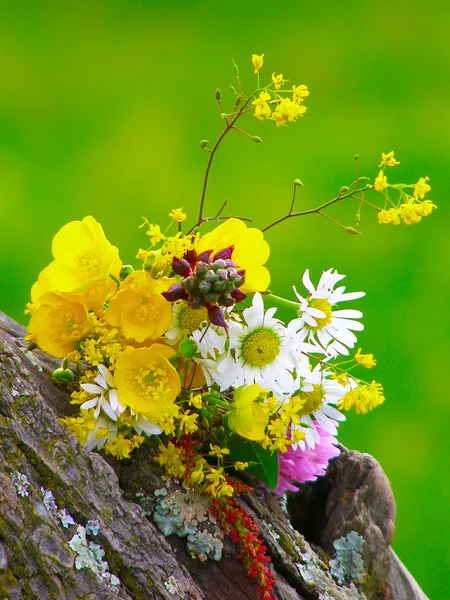 Fényes színes csokor kerti és vad természetes virágok — Stock Fotó
