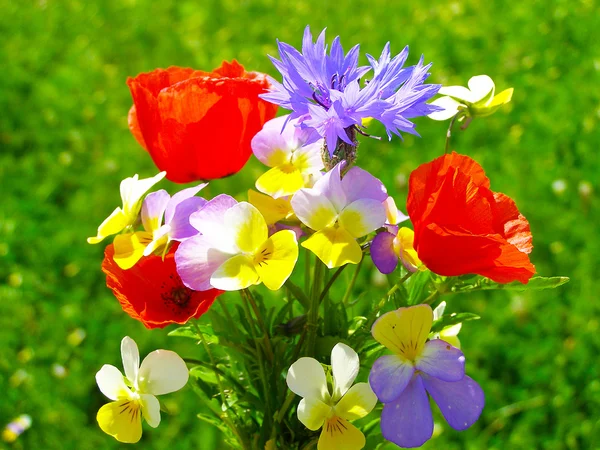 Helle bunte Bouquet von Garten und wilden natürlichen Blumen — Stockfoto