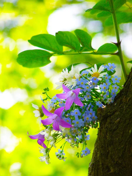 色彩艳丽的花园花束和野生自然花卉 — 图库照片