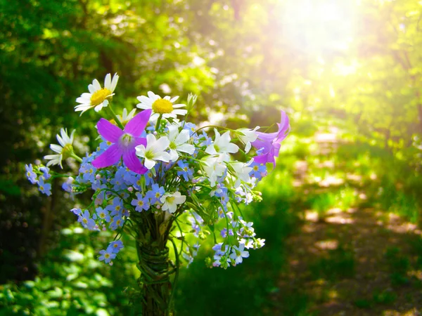 Sterke, fargerike bukett med hage og ville, naturlige blomster – stockfoto