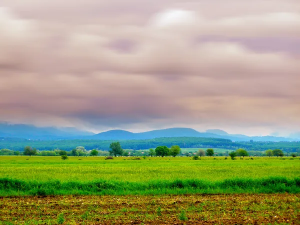 Campagne estivale roumaine — Photo