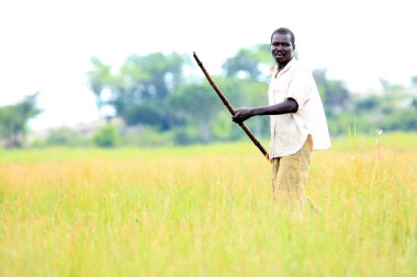 balıkçı - göl anapa - uganda, Afrika