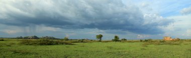 çayır, göl anapa - uganda, Afrika