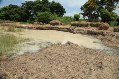 Tuğla Fabrikası - uganda, Afrika