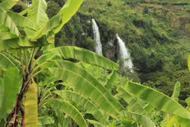 kelime falls - uganda, Afrika