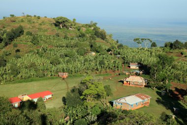 geleneksel yapı - uganda, Afrika
