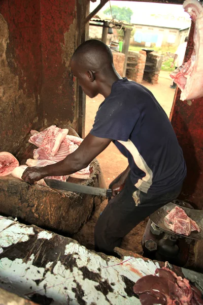 Schweinegelenk - soroti, uganda, afrika — Stockfoto
