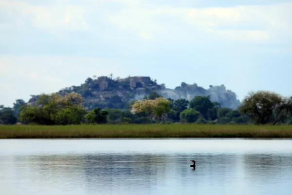 Paesaggio lacustre - Lago Anapa - Uganda, Africa — Foto Stock