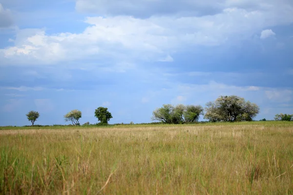 Lake landschap - lake anapa - Oeganda, Afrika — Stockfoto