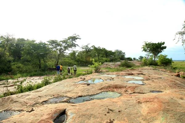 Paesaggio lacustre - Lago Anapa - Uganda, Africa — Foto Stock