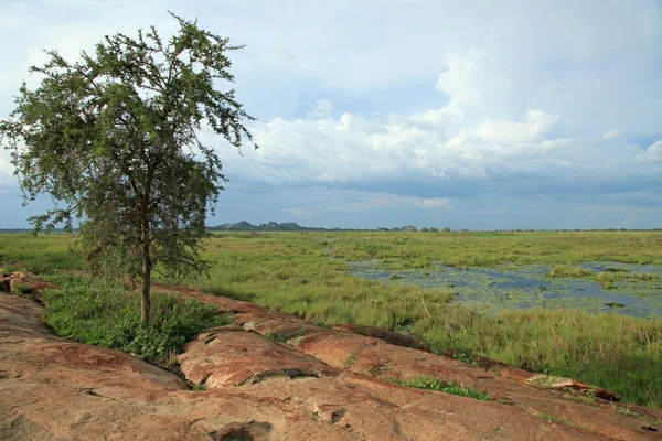 Paesaggio lacustre - Lago Anapa - Uganda, Africa — Foto Stock