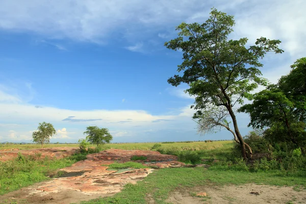 Krajobraz jeziora - jezioro anapa - uganda, Afryka — Zdjęcie stockowe