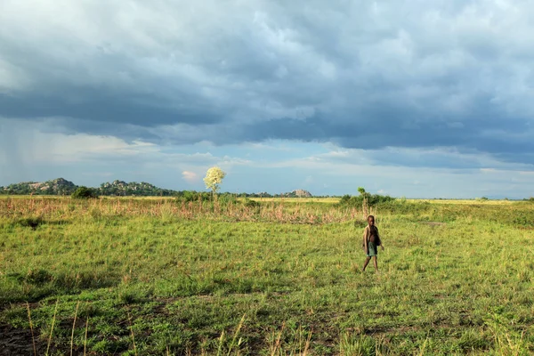 Łąka na jezioro anapa - uganda, Afryka — Zdjęcie stockowe