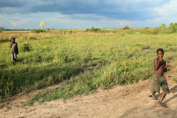 Meadow at Lake Anapa - Uganda, Africa — Stock Photo, Image