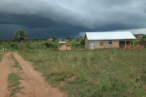 Soroti wetlands moerassen - Oeganda, Afrika — Stockfoto