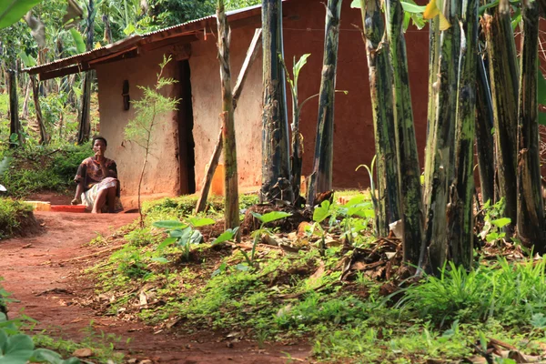 Tradiční budova - uganda, Afrika — Stock fotografie