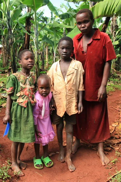 本地-乌干达、 非洲 — 图库照片