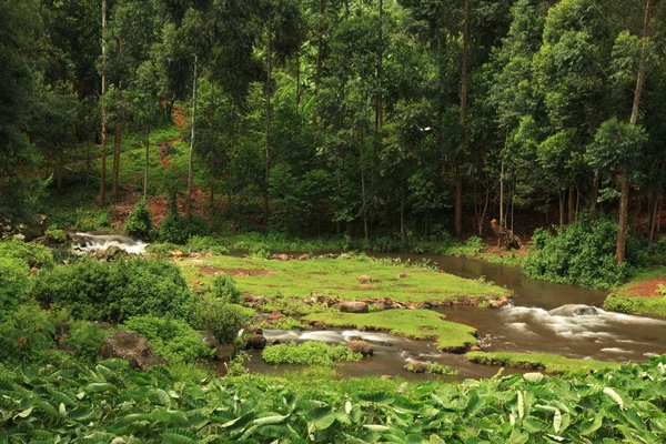 Sipi Falls - Uganda, Africa — Stock Photo, Image