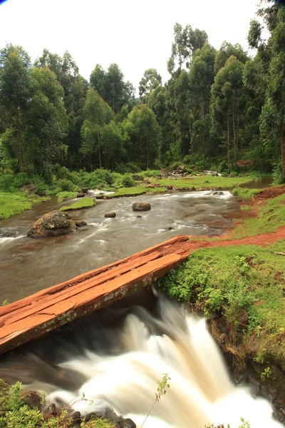 Kelime falls - uganda, Afrika — Stok fotoğraf