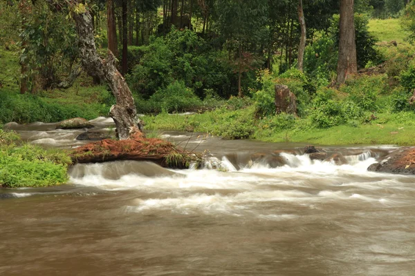 Sipi Falls - Uganda, Africa — Stock Photo, Image