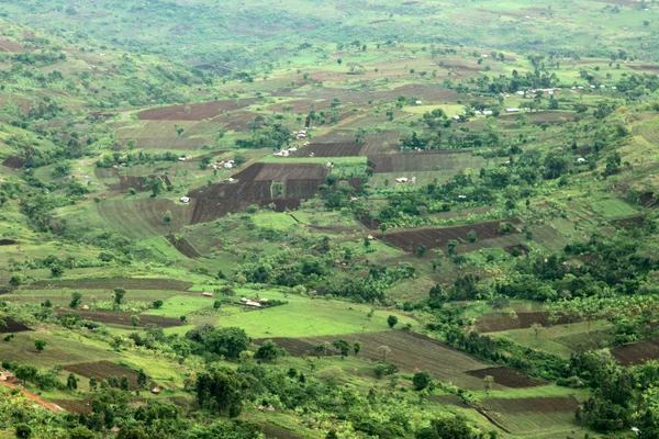 Kırsal manzara - uganda, Afrika — Stok fotoğraf