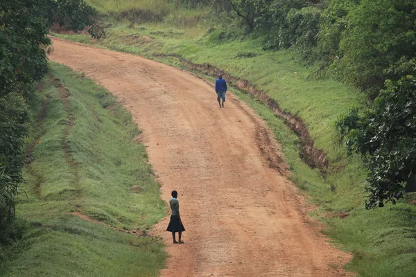 Pântanos Bigodi - Uganda — Fotografia de Stock