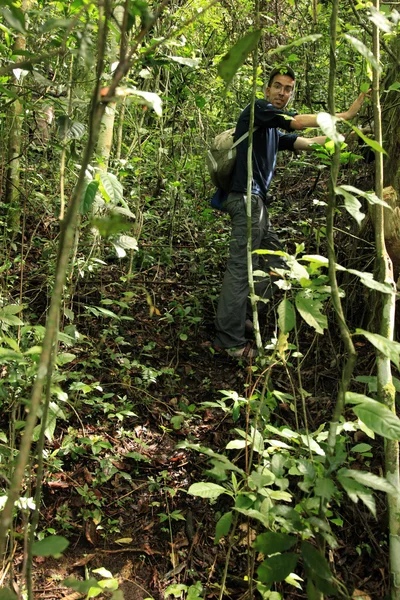 Uzak Batı uganda — Stok fotoğraf