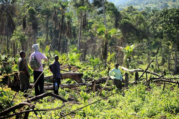 Remote Western Uganda — Stock Photo, Image