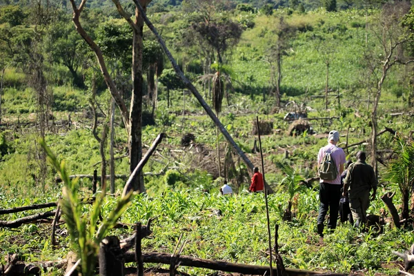 Uganda Ocidental remoto — Fotografia de Stock