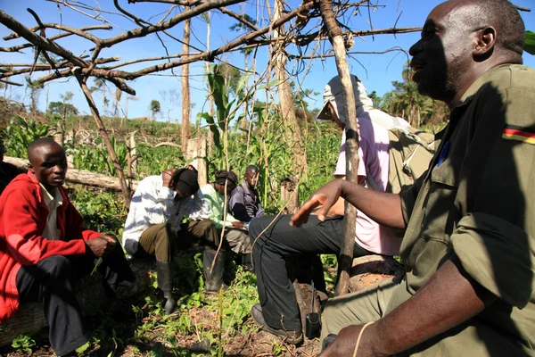 Uzak Batı uganda — Stok fotoğraf