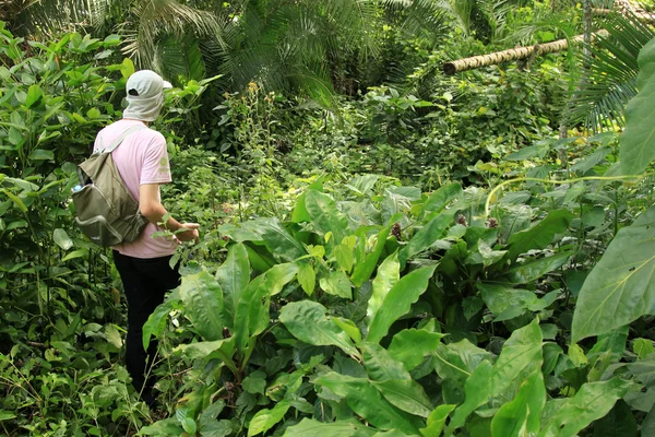 L'ouest de l'Ouganda — Photo