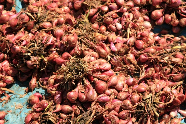 Igayaza market - uzak Batı uganda — Stok fotoğraf