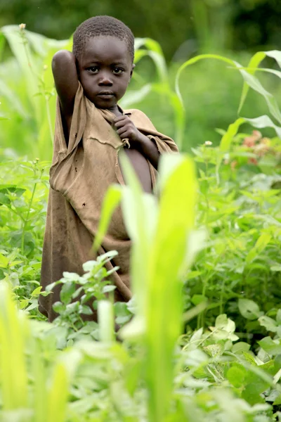 Pobreza no remoto oeste de Uganda — Fotografia de Stock