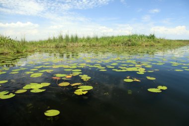 huzurlu lake ayarı - uganda, Afrika