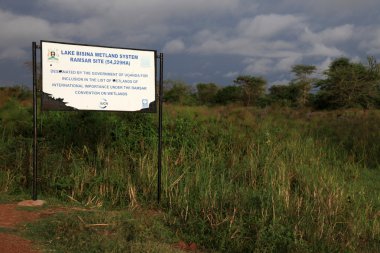 Lake bisina - uganda, Afrika