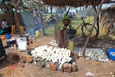 Yerel uganda, Afrika pazarı
