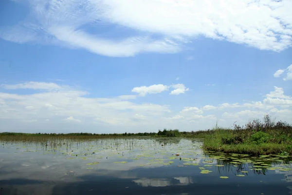 Klidné jezero nastavení - uganda, Afrika — Stock fotografie