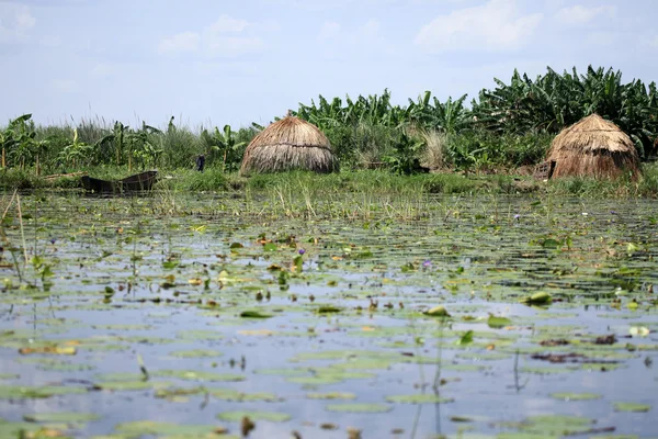 Pueblo pesquero flotante Uganda, África —  Fotos de Stock