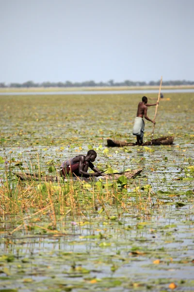 Traditional Fishing Technique - Uganda, Africa — Stock Photo, Image