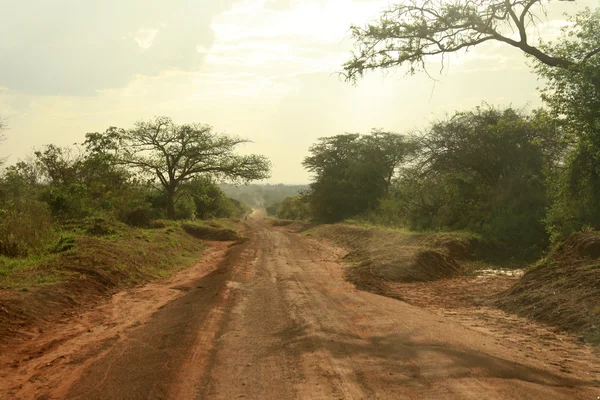 Polní cesta - uganda, Afrika — Stock fotografie