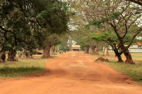 Polnej drogi prowadzącej przez las uganda, Afryka — Zdjęcie stockowe