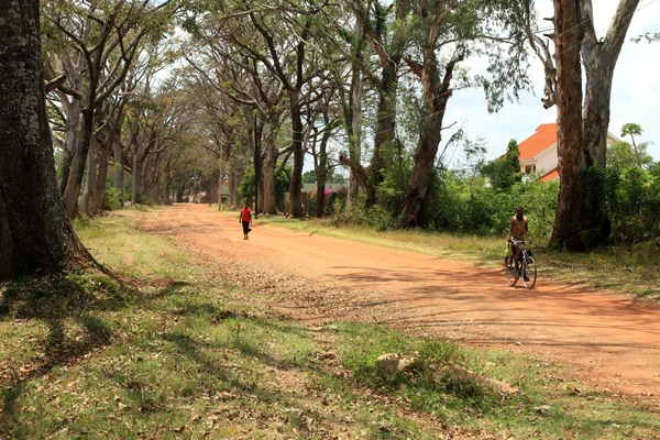 Schotterpiste, die durch Wald Ugandas führt, Afrika — Stockfoto