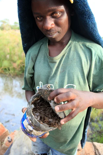 Mieren - Oeganda, Afrika — Stockfoto