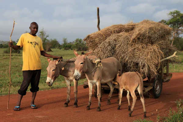 Polní cesta - uganda, Afrika — Stock fotografie