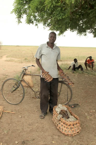 Уганда, Африка — стоковое фото