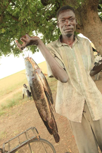 우간다, 아프리카의 — 스톡 사진