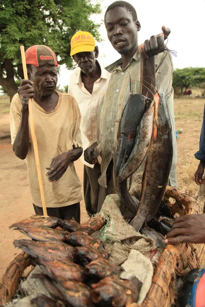 Dell'Uganda, Africa — Foto Stock