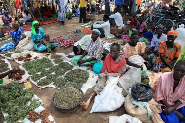 Yerel uganda, Afrika pazarı